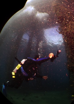 Under the cruise ship dock